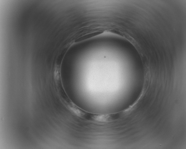 X0000069830191200605261850