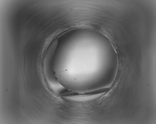 X0000069830193200605261850