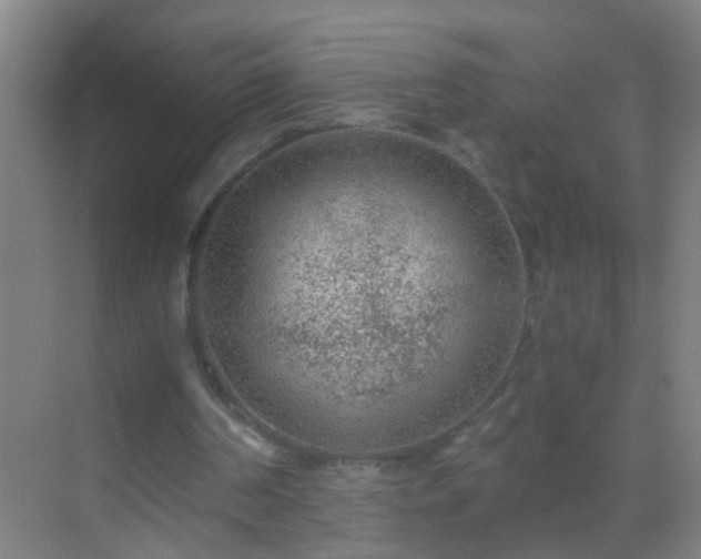 X0000069830194200605261850