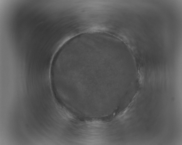 X0000069830196200605261850