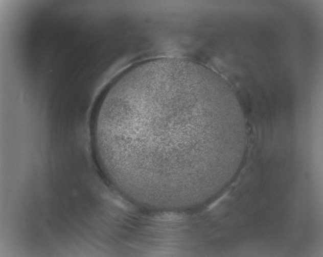 X0000069830198200605261850