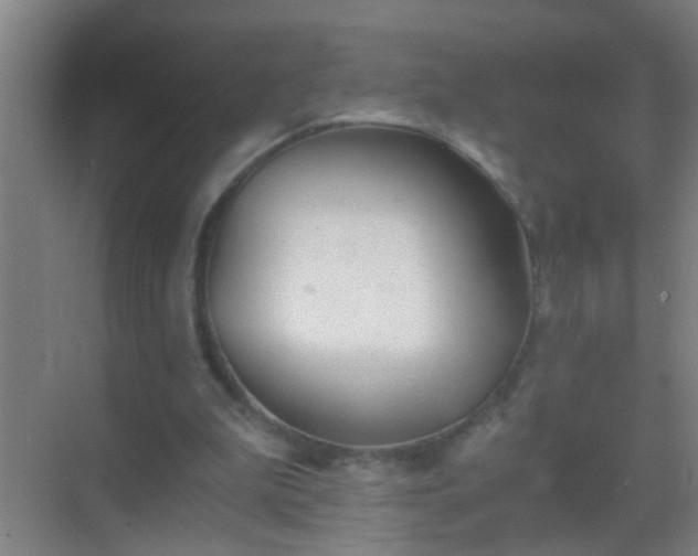 X0000069830199200605261849