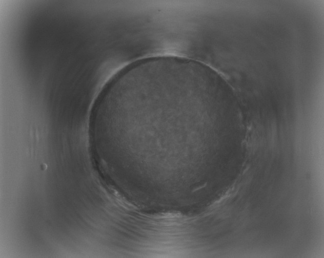 X0000069830200200605261849