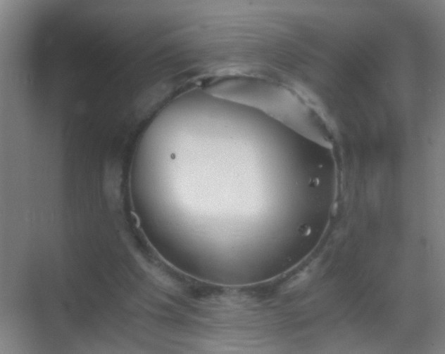 X0000069830201200605261849