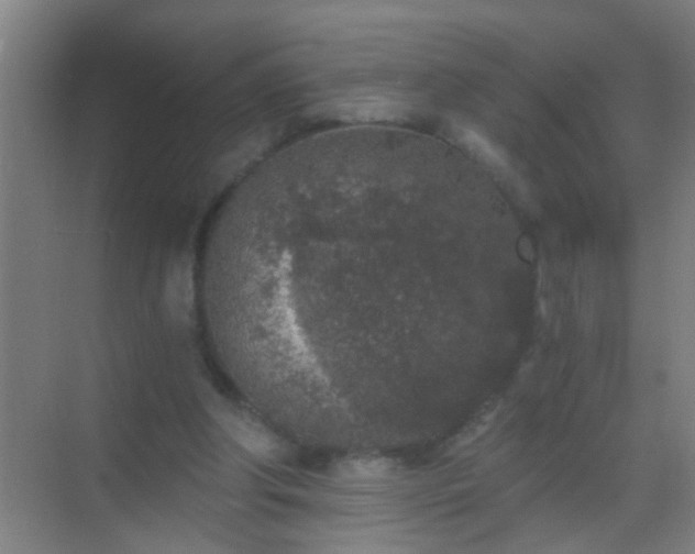 X0000069830202200605261849