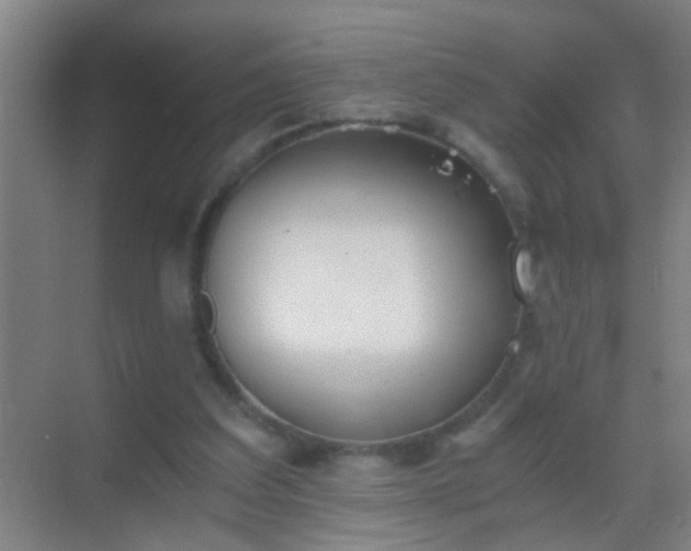 X0000069830203200605261849