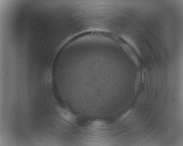 X0000069830204200605261849