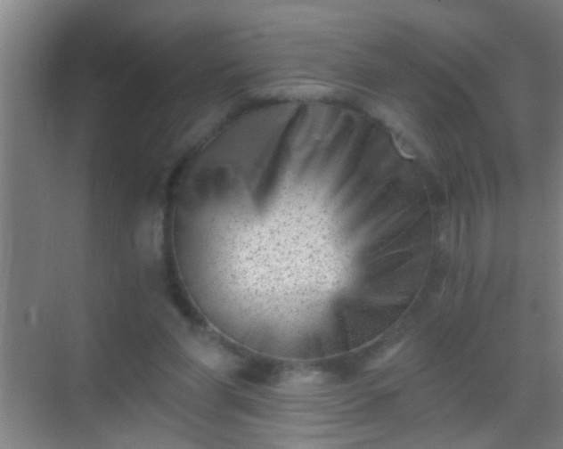 X0000069830206200605261849