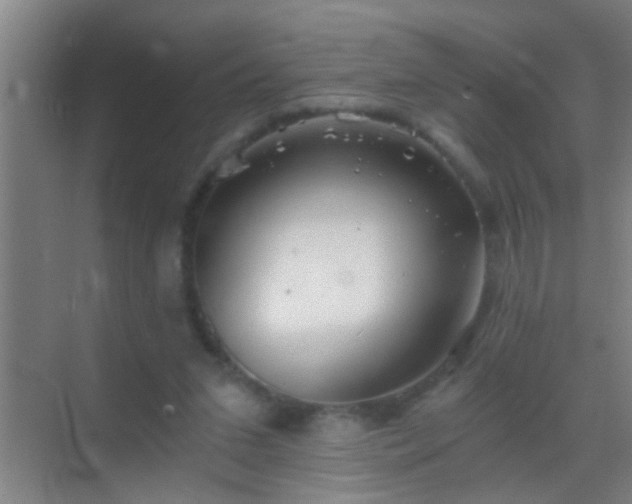 X0000069830207200605261849