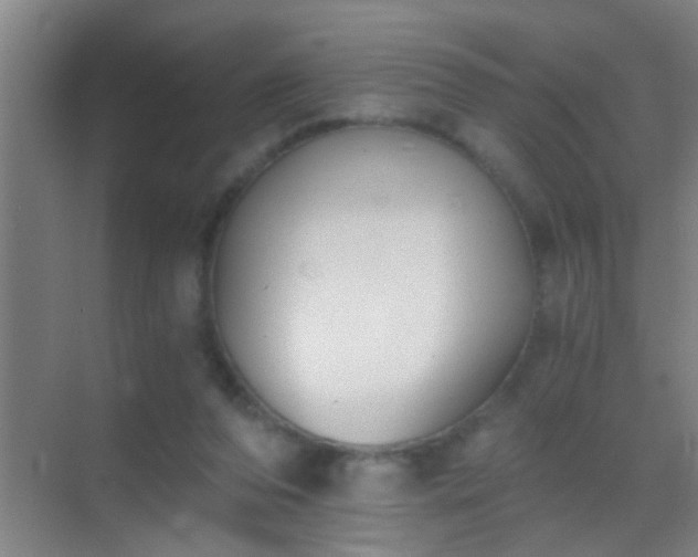 X0000069830208200605261849