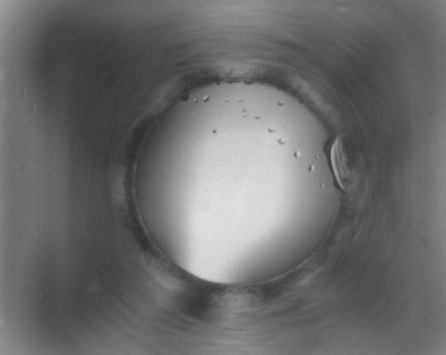 X0000069830209200605261849