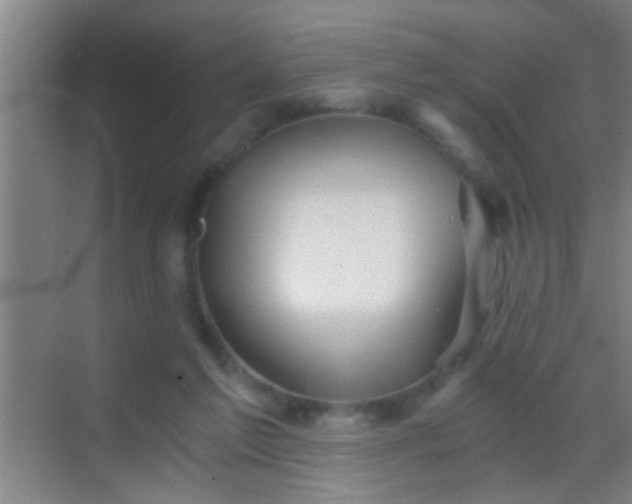 X0000069830213200605261849