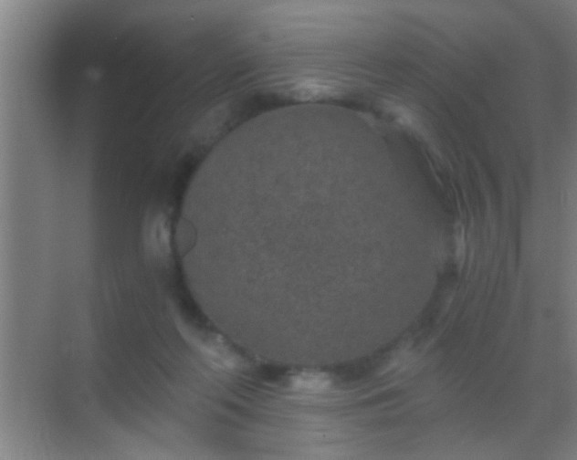 X0000069830214200605261849