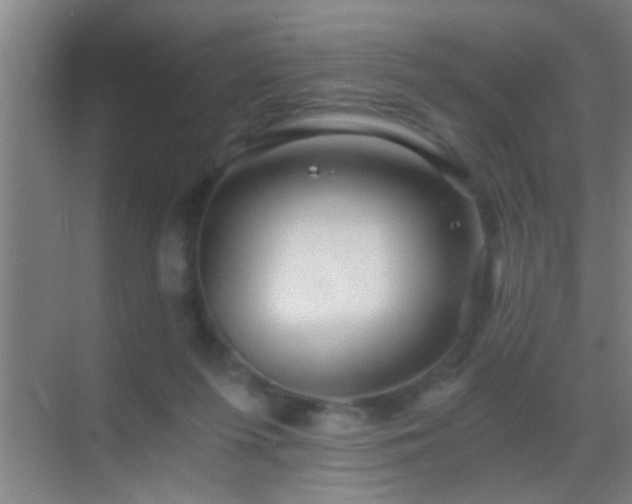 X0000069830215200605261849