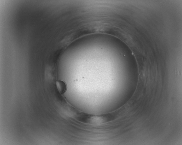 X0000069830218200605261849