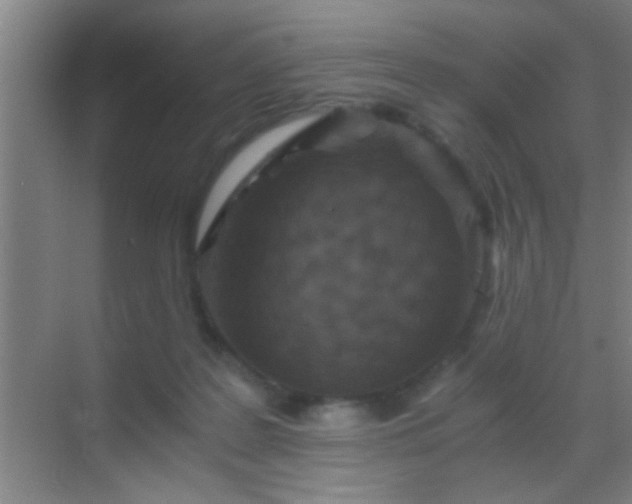 X0000069830219200605261849