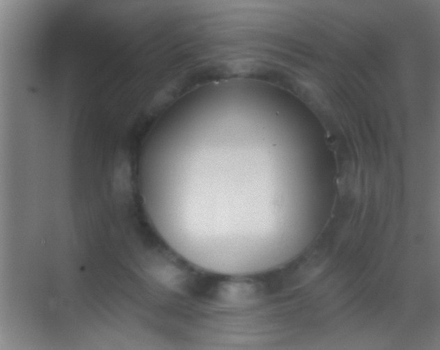 X0000069830220200605261849