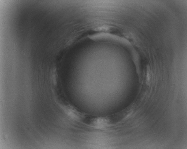 X0000069830223200605261849