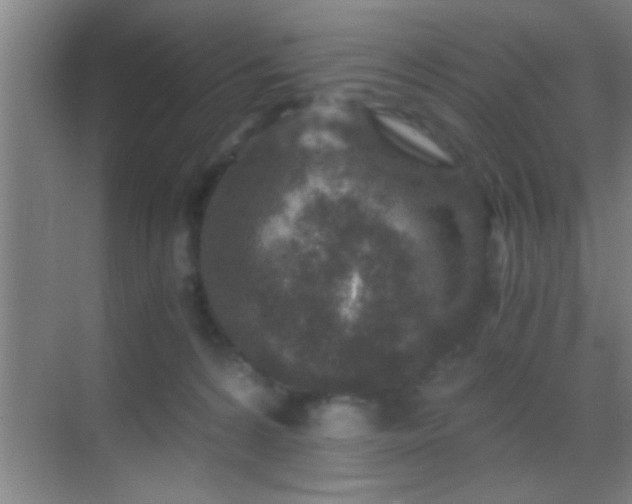 X0000069830224200605261849