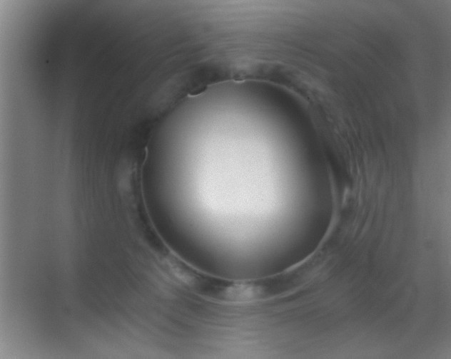 X0000069830225200605261849