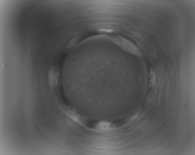 X0000069830227200605261849