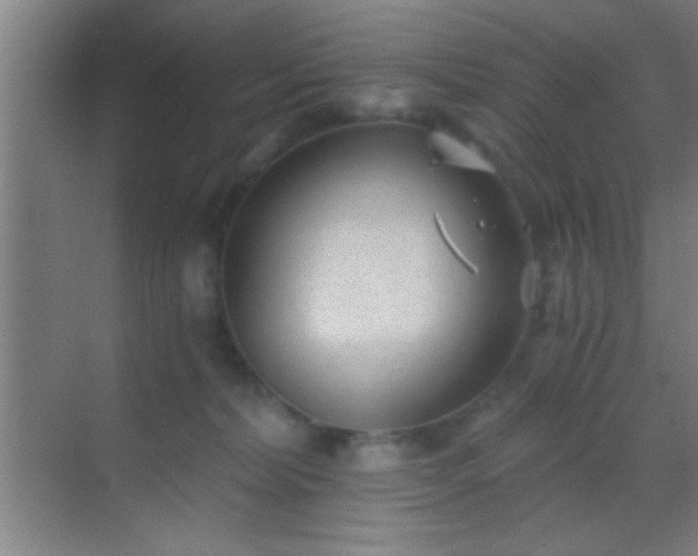 X0000069830228200605261849