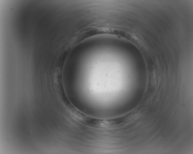 X0000069830229200605261849