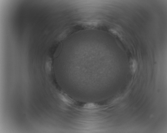 X0000069830231200605261849