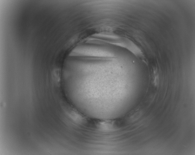 X0000069830232200605261849