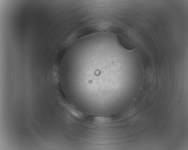 X0000069830234200605261849