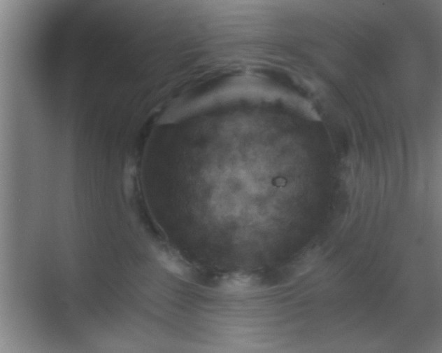 X0000069830235200605261849