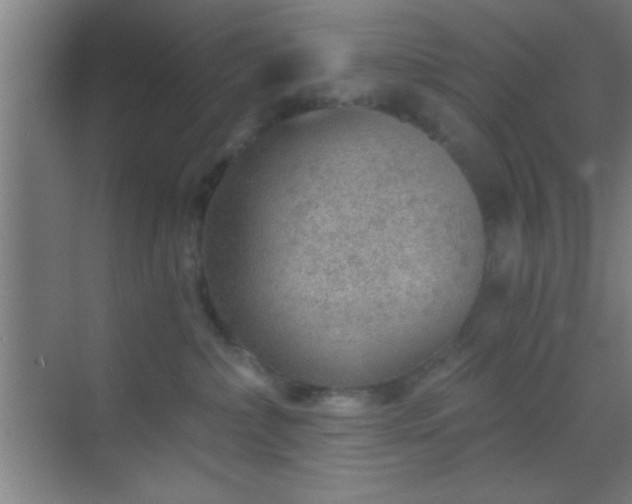 X0000069830236200605261849