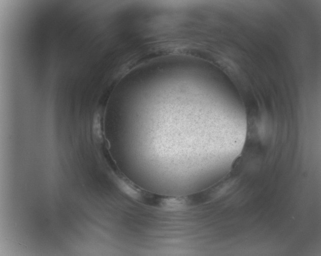 X0000069830238200605261849