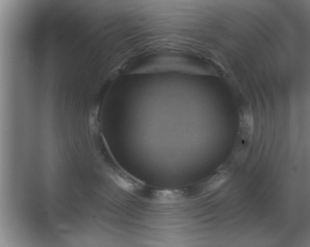 X0000069830239200605261849