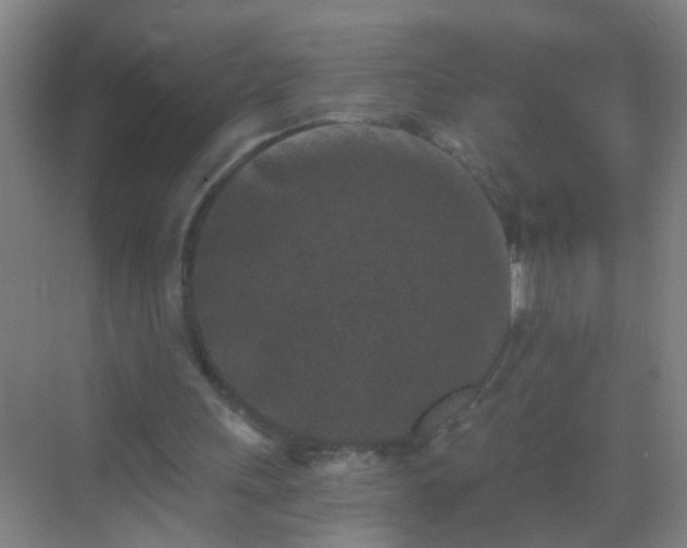 X0000069830243200605261848