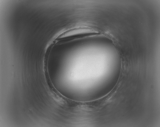 X0000069830244200605261848