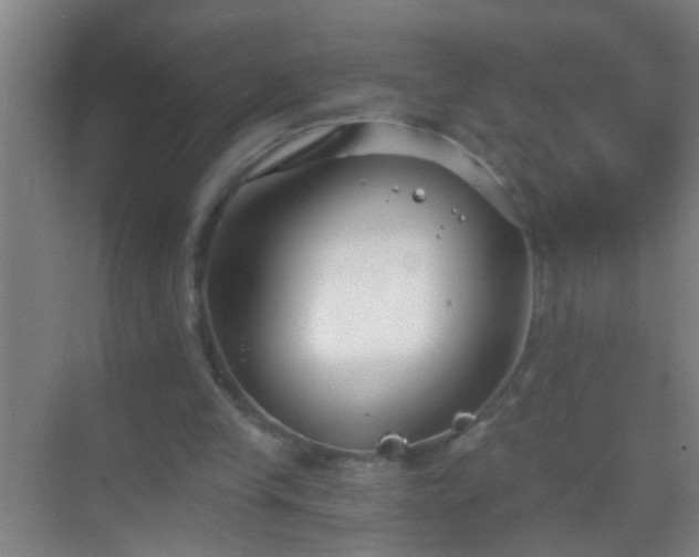 X0000069830245200605261848