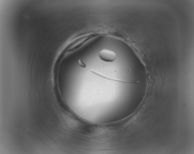 X0000069830246200605261848