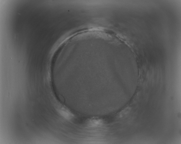 X0000069830247200605261848