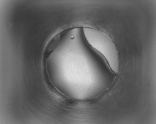 X0000069830248200605261848