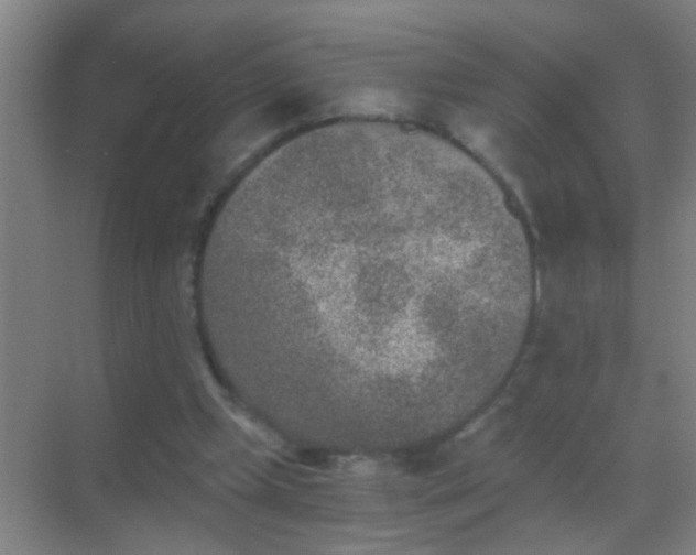 X0000069830249200605261848