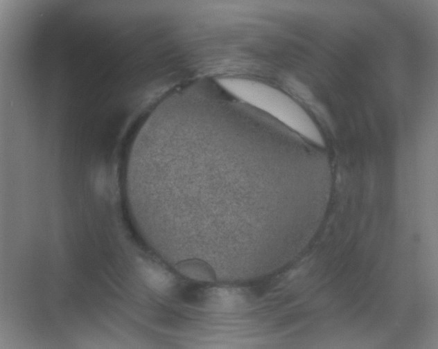 X0000069830250200605261848