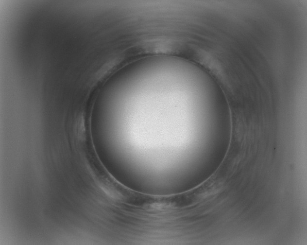 X0000069830251200605261848