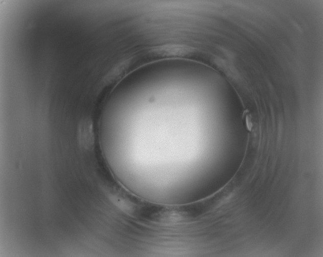 X0000069830254200605261848