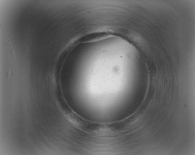 X0000069830256200605261848