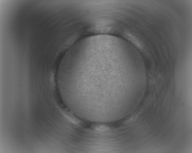 X0000069830258200605261848