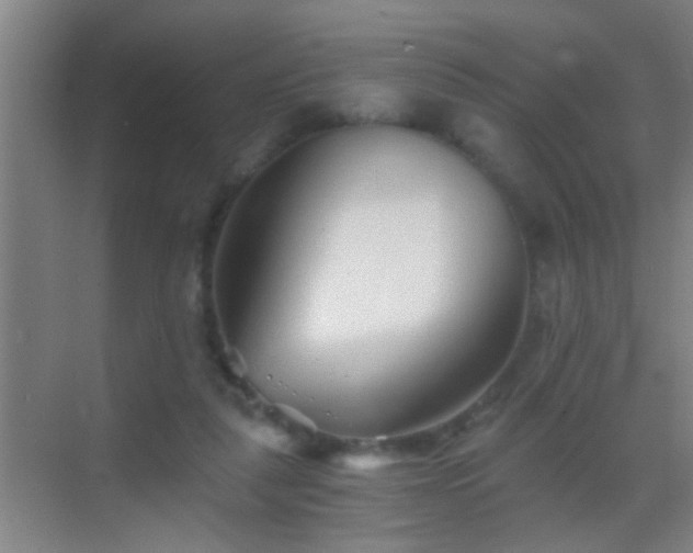 X0000069830259200605261848