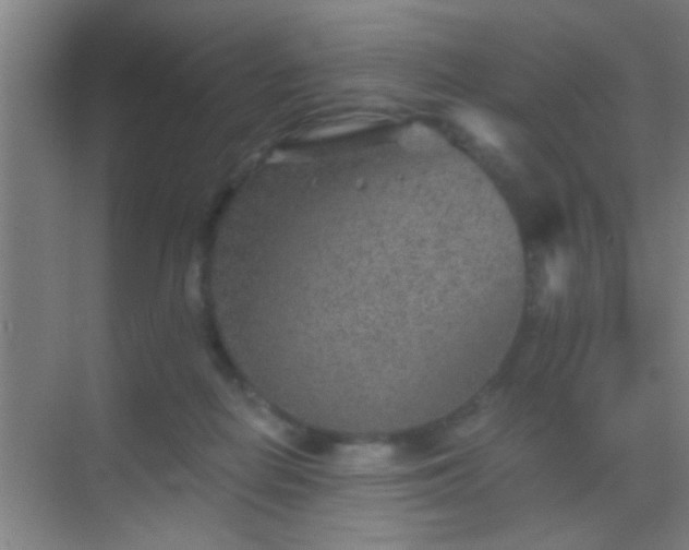 X0000069830266200605261848