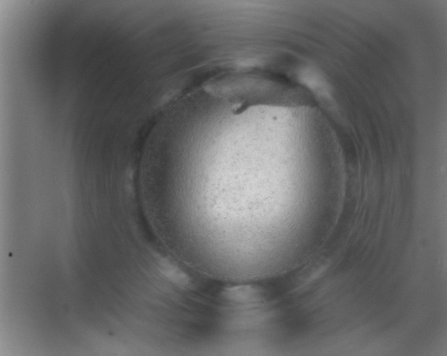 X0000069830269200605261848