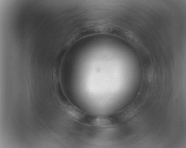 X0000069830270200605261848